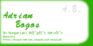 adrian bogos business card